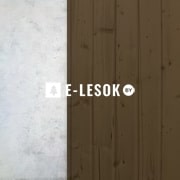 Декоративно-защитный состав PROFITEX палисандр 3л