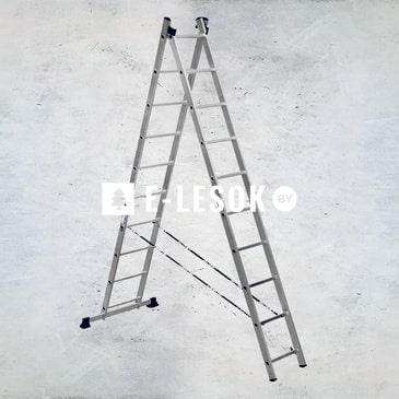 Лестница 2-секционная универсальная ALUM алюмин. 2х10