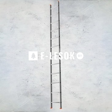 Лестница 1-секционная алюмин. 1х12